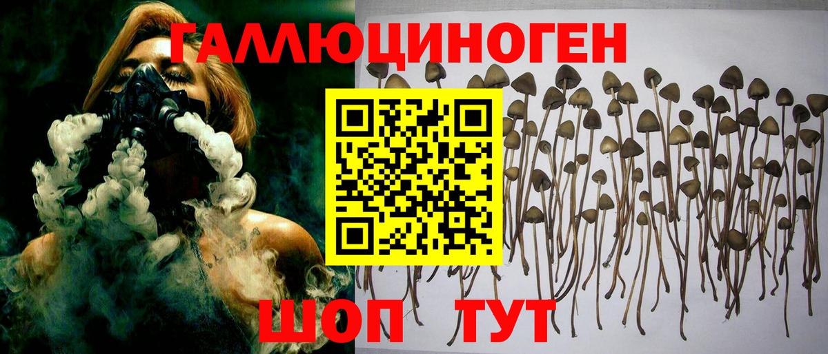 Псилоцибиновые грибы ЛСД  Вход с VPN  Аксай  Галлюциногенные грибы Cubensis 