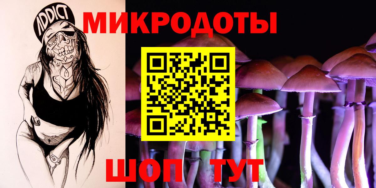 Галлюциногенные грибы Psilocybine cubensis Аксай
